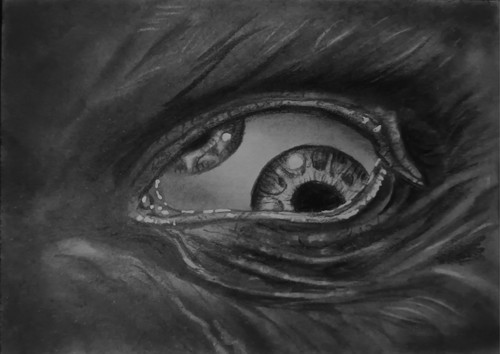 Aceo tool band eye - aceo,
